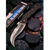 Нож складной Cold Steel CS22B Black Talon Нож складной Cold Steel CS22B Black Talon