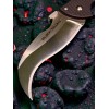 Нож складной Cold Steel CS22B Black Talon Нож складной Cold Steel CS22B Black Talon