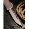 Нож складной MicroTech MCT1703M10APNC Auto Hera II Mini, Apocalyptic Blade, Natural Clear Handle Нож складной MicroTech MCT1703M10APNC Auto Hera II Mini, Apocalyptic Blade, Natural Clear Handle