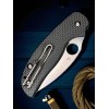 Нож складной Spyderco SC123CFBCLP Sage 6 Button Compression