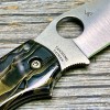 Нож складной Spyderco SC152RNP Chaparral, CTS-XHP Blade, Raffir Noble Handle