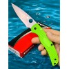 Нож складной Spyderco SC244PGR Native Chief Salt