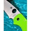 Нож складной Spyderco SC244PGR Native Chief Salt